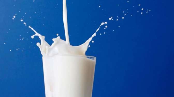 Руководитель Минсельхоза Российской Федерации порекомендовал Беларуси искать новые рынки сбыта молока