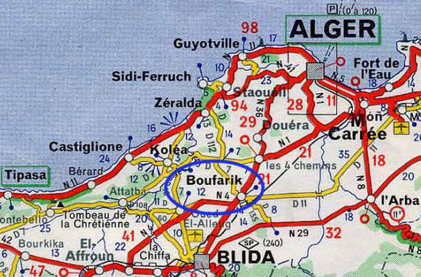 Власти Алжира подтвердили смерть 181 человека в авиакатастрофе