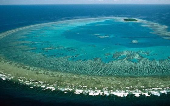 Австралия выделит $500 млн для защиты огромного барьерного рифа
