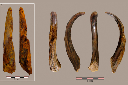 В Испании ученые отыскали самые старые инструменты возрастом 90 000 лет