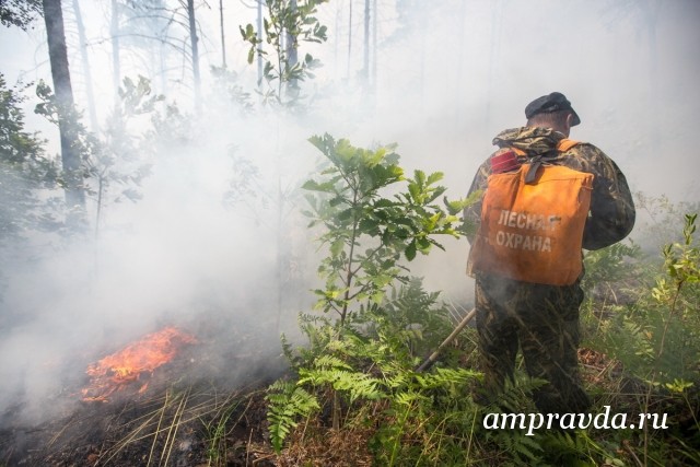 В Приамурье огнём охвачено около 46 тыс. гектаров леса