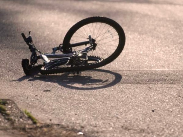Мумия сбитого велосипедиста больше полугода пролежала у дороги в Ростове