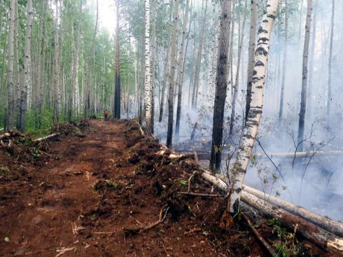 В лесах Киренского района из-за пожаров действует режим ЧС