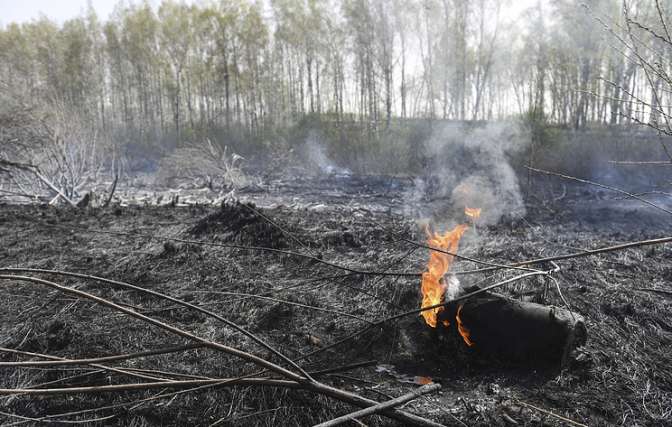 В Свердловской области запретили ходить в лес