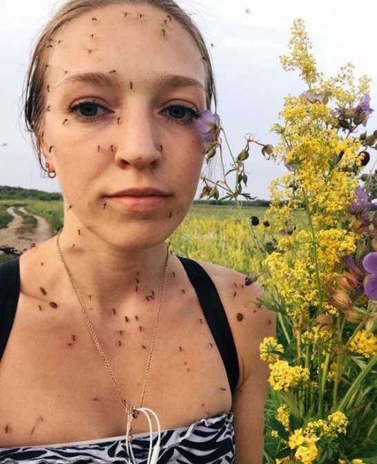 «Настоящее сибирское лето»: Жительница Якутска накормила собой «толпу комаров»