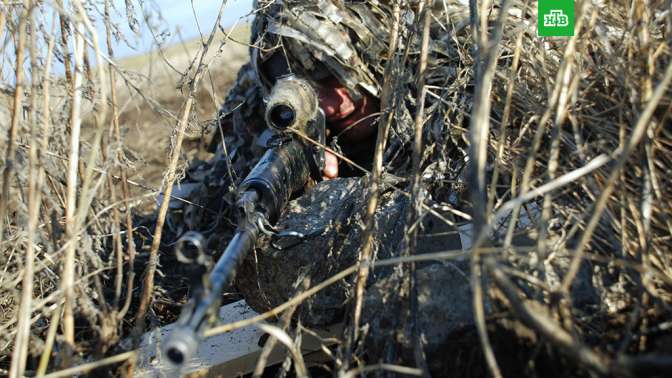 Киев сформировал снайперскую спецгруппу для борьбы с государственными батальонами