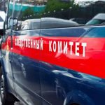 В окрестностях Пулково отыскали труп женщины с объеденным лицом