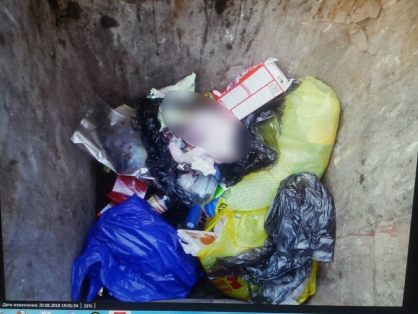 Тело малыша отыскали в мусорном баке в Усолье-Сибирском