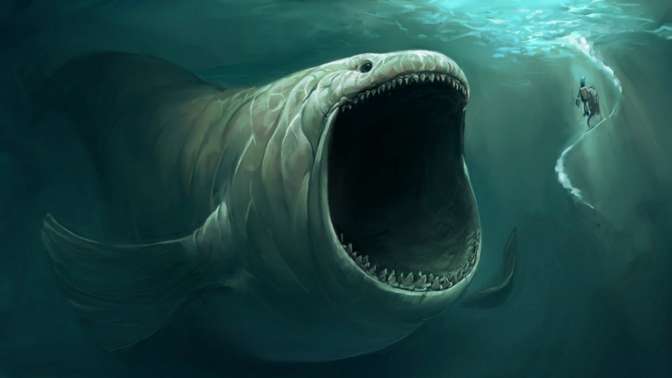 Зубы доисторической мега-акулы обнаружили на береге в Австралии
