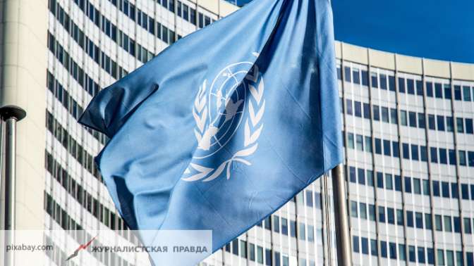 ООН уличила КНДР в милитаризации Сирии и других государств