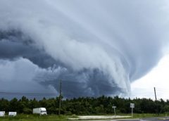 D126137c3cc396bd920429aea4989143 770x400 240x172