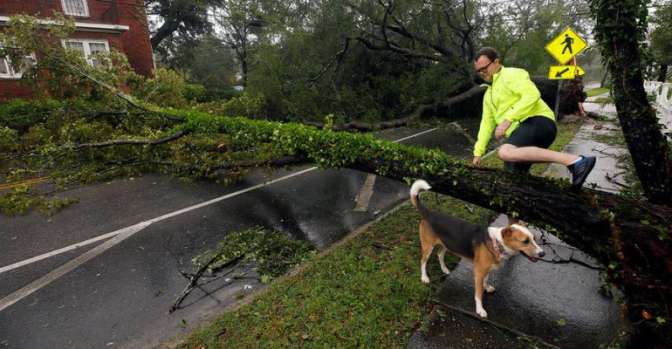 В США число погибших шторма «Флоренс» возросло до 13 человек