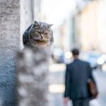 Эквадор частично закончил изоляцию Ассанжа в посольстве в столице Англии