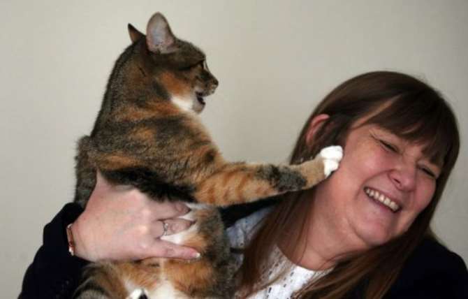 Кошка два раза спасла британку от рака молочной железы