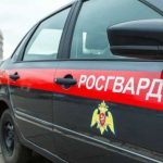 Росгвардия получила право останавливать автомобили для проверки