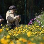 Депутат Верховной рады: «Украина сама отрезала Крым и Донбасс»