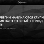 НАТО стремится сделать новейшую разделительную линию с Россией — МИД
