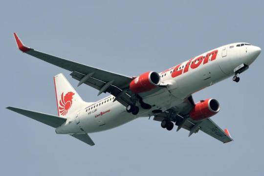 Крушение Boeing 737 в Индонезии: найдены останки 10 погибших