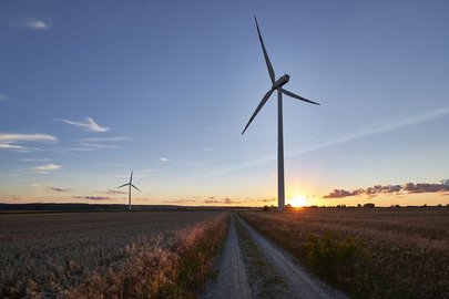 Ветряные станции по выробатыванию электричества могут вызвать локальное потепление