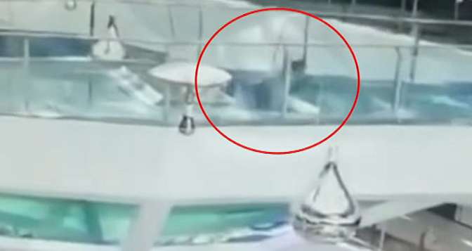 Нападение акулы на подводного охотника сняли на видео
