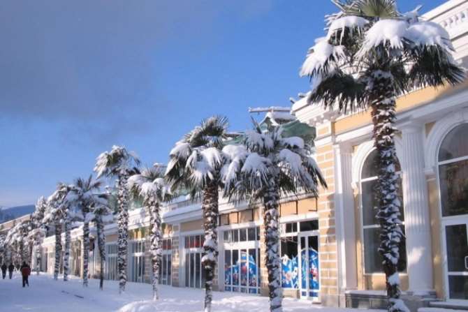 Спрос на новогодний отдых в Крыму вырос на 20%