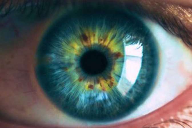 Через глаза в организм могут попасть смертоносные белки-прионы, предупредили ученые