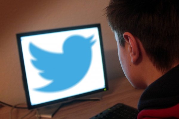 Двойные стандарты: специалист раскритиковал Твиттер за удаление не менее 10 тыс. аккаунтов