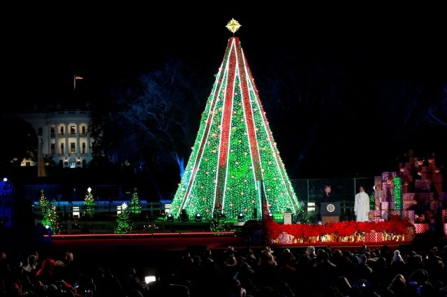 В Вашингтоне неизвестный залез на рождественскую ёлку перед Белым домом