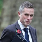 Times: Министр обороны Великобритании собирался сдвинуть Терезу Мэй