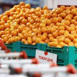 В Роскачестве поведали, какие мандарины самые сладкие и сочные
