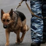 Проверки и эвакуацию из-за неизвестных сообщений провели в ряде регионов