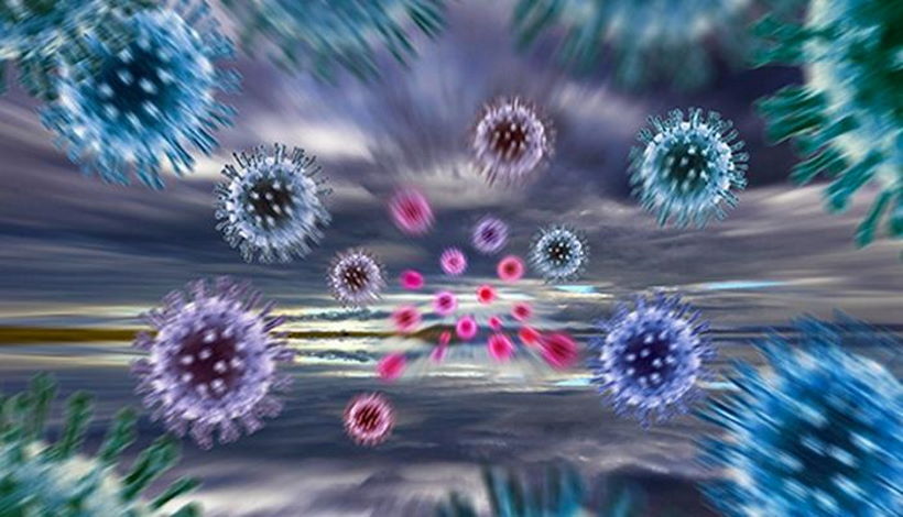 РАН объяснила слухи об искусственном происхождении коронавируса