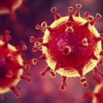 Группа ученых методом обратной генетики создала коронавирус