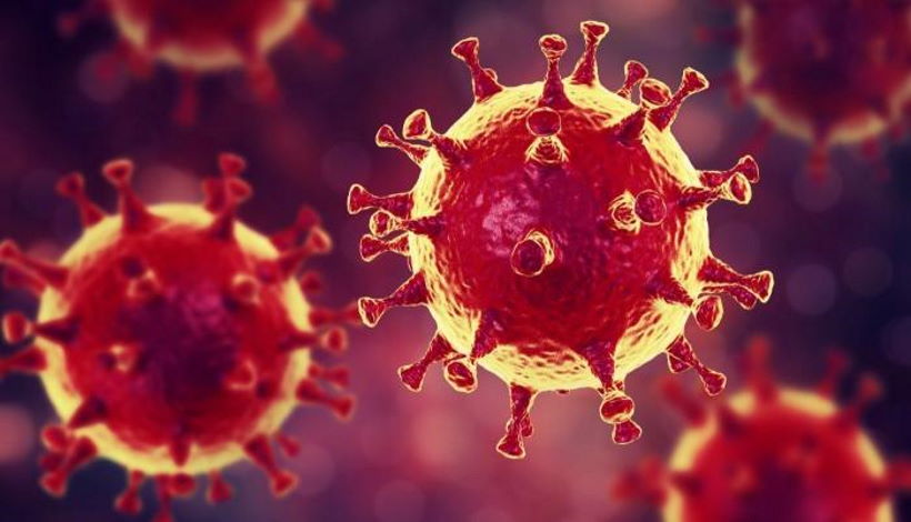 Группа ученых методом обратной генетики создала коронавирус