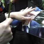 Депутат предложил запретить магов и экстрасенсов