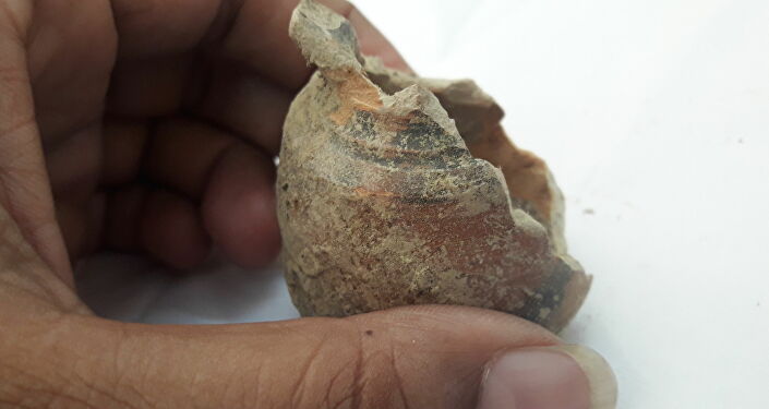 Керамика и кости, предположительно принадлежащие хараппской цивилизации, найденной в Индии