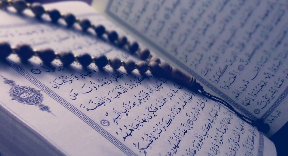 Датская партия жесткой линии сожгла еще один Коран в Швеции