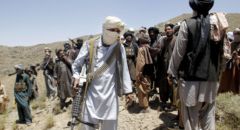 Источник сообщает, что боевики Талибана убили 7 полицейских в провинции Южный Кандагар в Афганистане