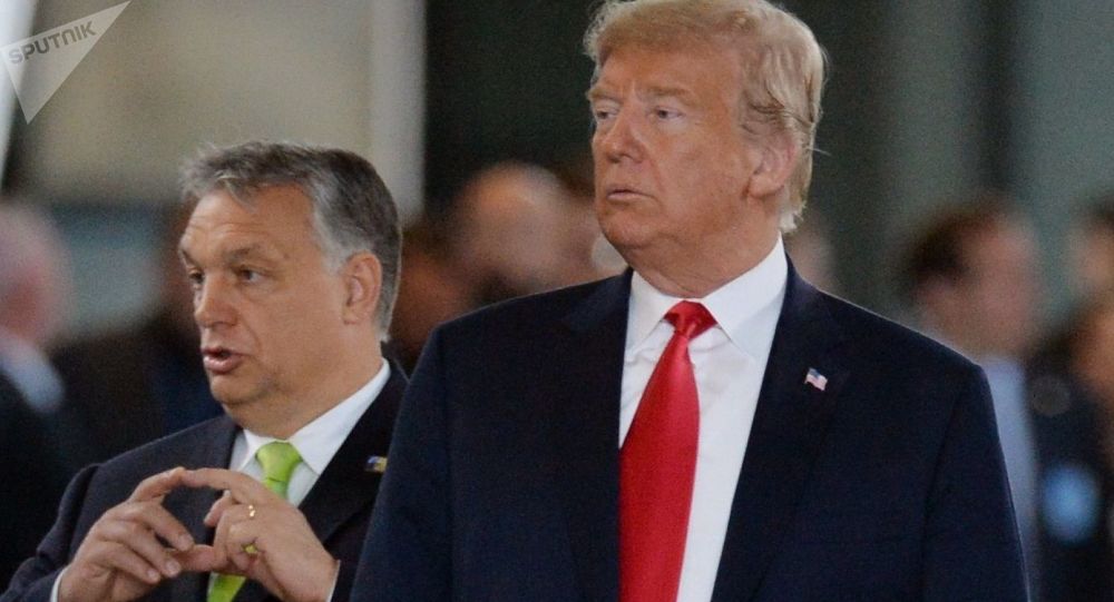 Премьер-министр Венгрии Орбан поддерживает Дональда Трампа на предстоящих выборах в США