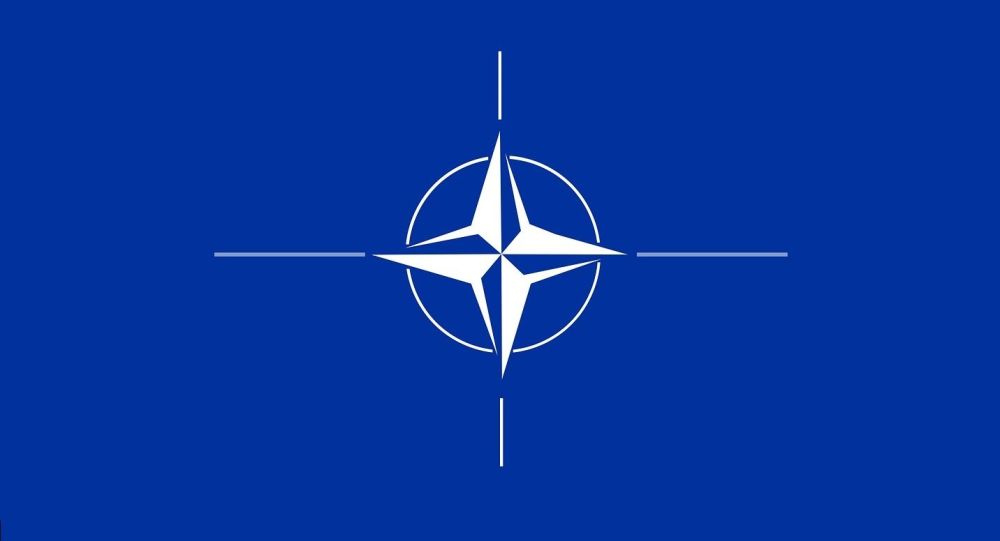 Министры обороны стран НАТО обсудят текущие вызовы безопасности на двухдневной видеоконференции