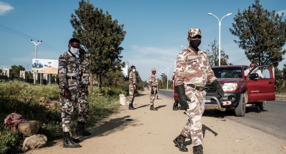 Артиллерия и бомбардировщики: сообщается о тяжелых столкновениях на границе Эритреи с восставшим регионом Тыграй в Эфиопии