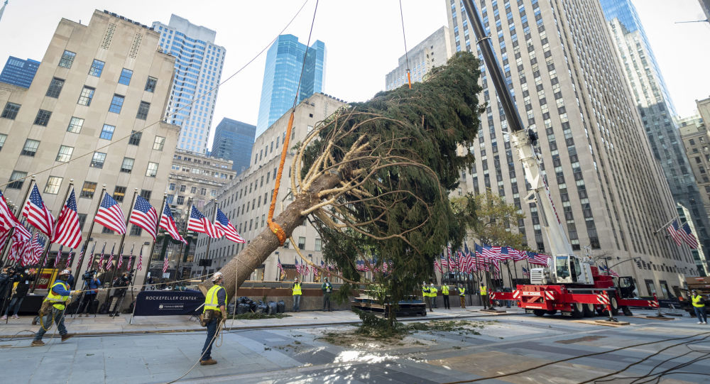 Like Year, Like Tree: Twitterati Mock Rockfeller Center 2020 Рождественская елка