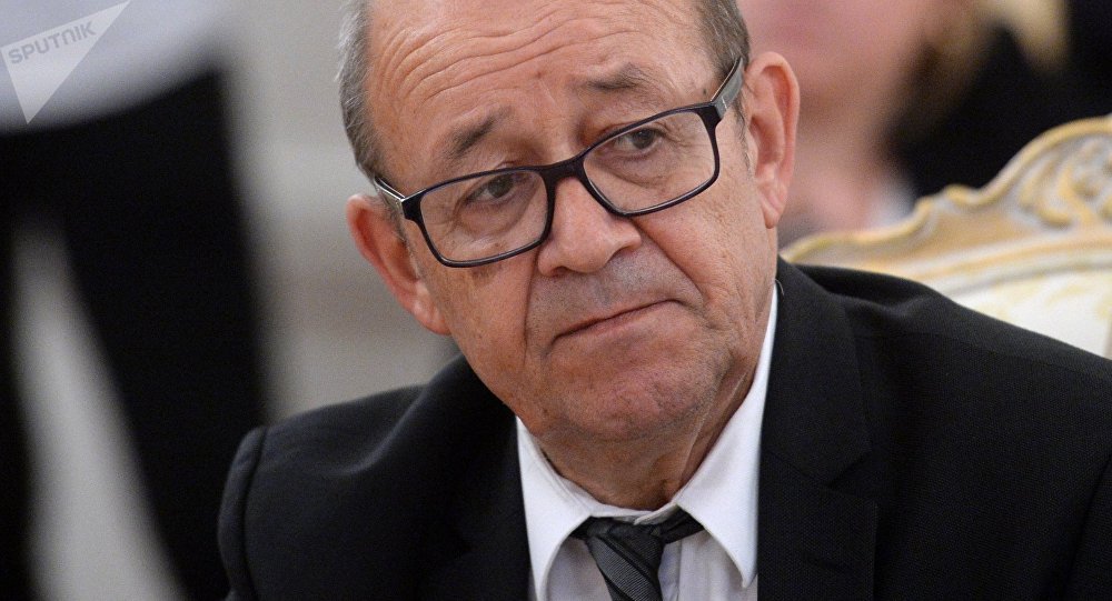 Министр иностранных дел Франции посетил Египет, чтобы ослабить напряженность между Парижем и мусульманским миром