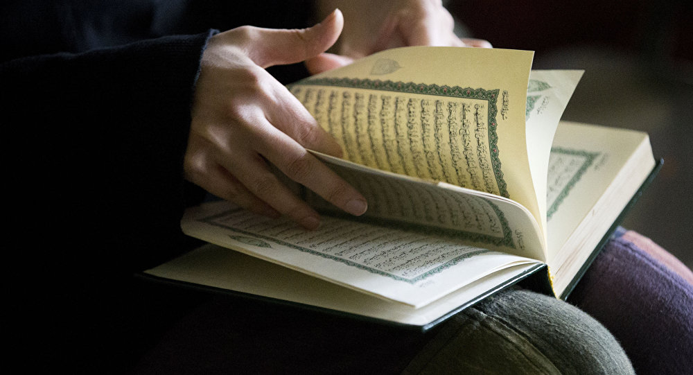 «Невозможно доказать преступление»: прокуратура Швеции решила, что сожжение Корана не является незаконным