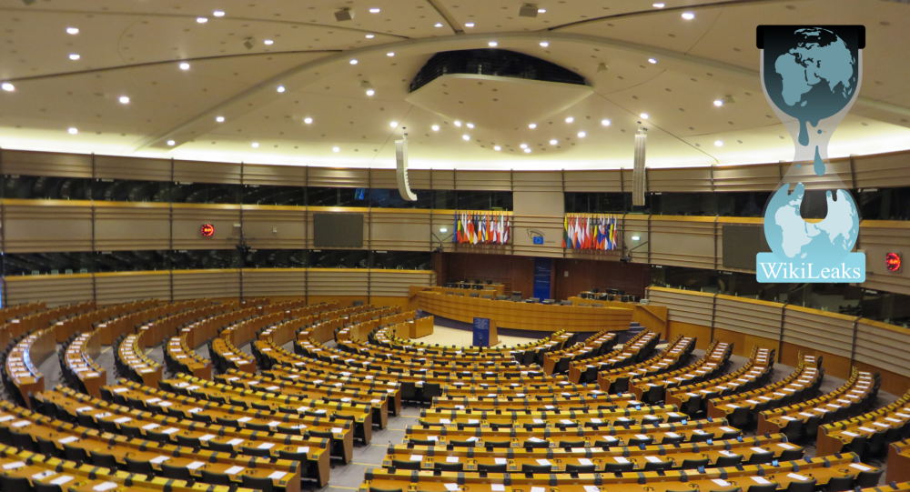 Парламент ЕС голосует против ссылки на Джулиана Ассанжа в окончательном проекте отчета об основных правах