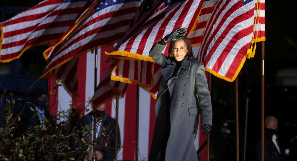 Пользователи сети разделились из-за Камалы Харрис как первой афроамериканской женщины-вице-президента США