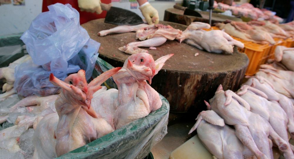 В сообщениях утверждается, что в Японии из-за новых вспышек птичьего гриппа будет истреблено более 845000 кур