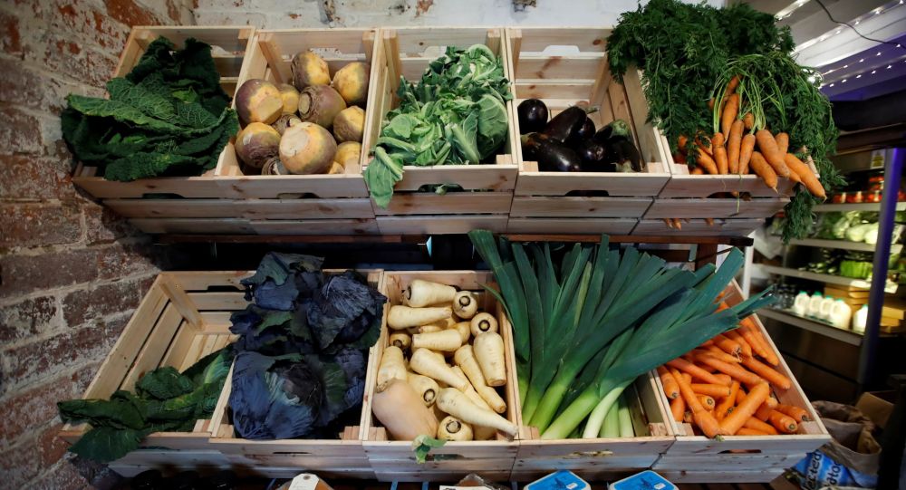 Закон Великобритании о сельском хозяйстве 2020 года недостаточно « заходит » для защиты безопасности пищевых продуктов и ведения сельского хозяйства, утверждает эксперт