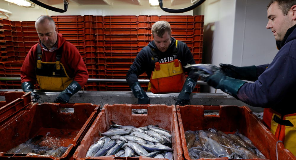 Ассоциация: Франция столкнулась с нехваткой рыбы и морепродуктов на Рождество из-за запрета на грузовые перевозки в Великобритании