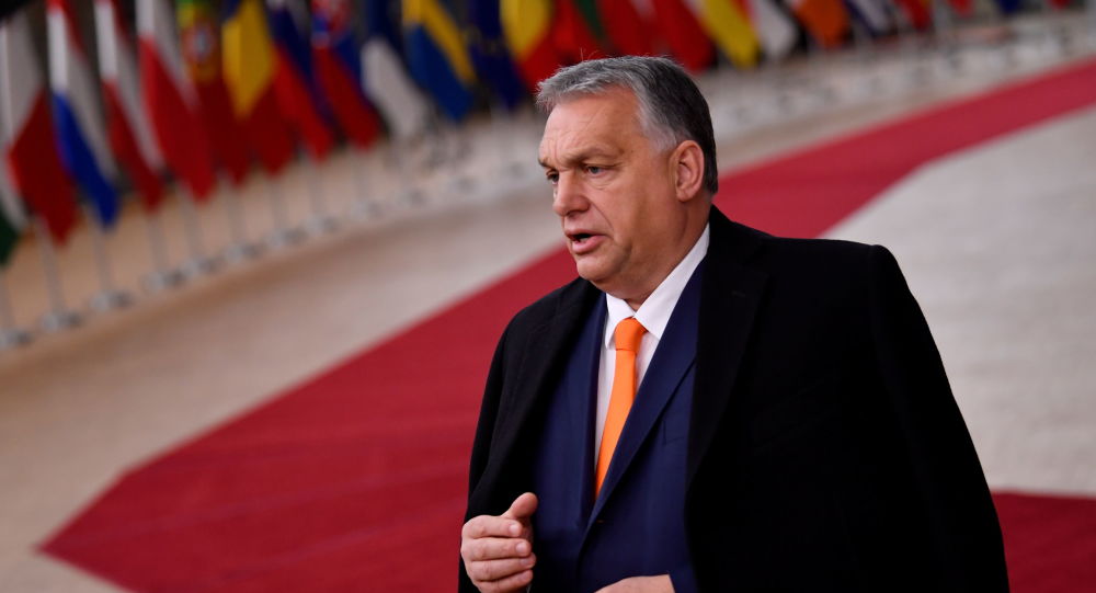 Депутат Европарламента Австрии назвал Венгрию и Польшу «подозреваемыми в Брексите» в Европейском Союзе